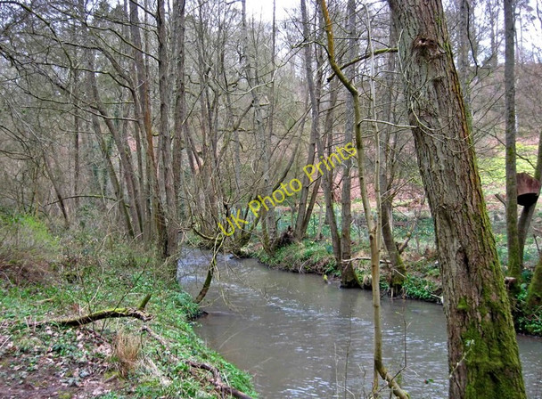 Photo 6"x4" Dowles Brook in the Wyre Forest Bewdley\/SO7875 c2010