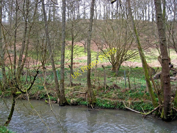 Photo 6"x4" Looking across the Dowles Brook in the Wyre Forest Bewdley\/SO7875 c2010