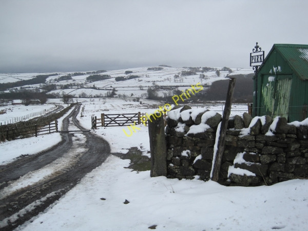 Photo 6"x4" Track to Park Allendale Town c2010