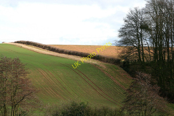 Photo 6"x4" Undulating Field Breedon on the Hill c2010