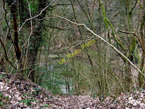 Photo 6"x4" Dowles Brook emerging from under former railway line Bewdley\/SO7875 c2010