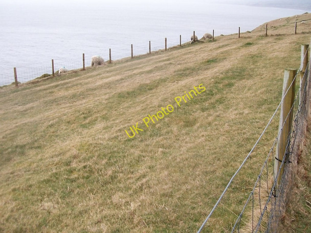 Photo 6"x4" Vegetation trial plot on the cliff top above Trwyn-y-Tal Trefor\/SH3746 c2010