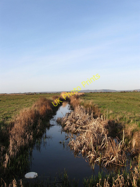 Photo 6"x4" Drain, Pevensey Levels Golden Cross\/TQ6310 c2010