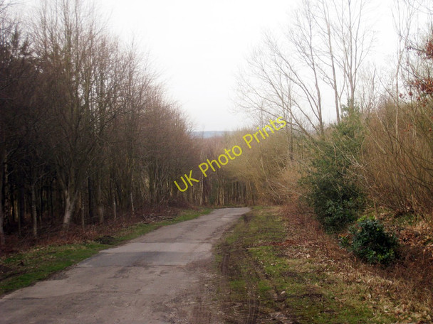 Photo 6"x4" Beechen Wood Crowborough\/TQ5130 c2010