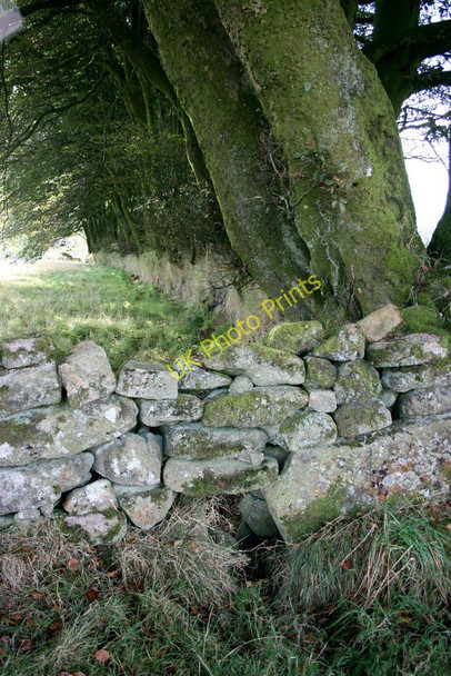 Photo 6"x4" Boundaries, near Jay's Grave Heathercombe c2009