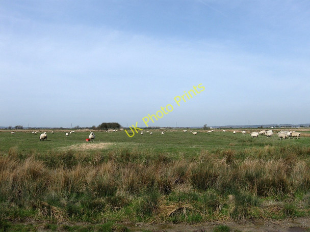 Photo 6"x4" Haven Marsh Beachlands c2010