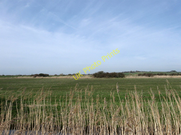 Photo 6"x4" Trade Marsh Wartling c2010