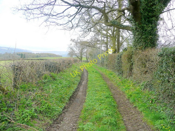 Photo 6"x4" Track and footpath Goetre\/SO3205 c2010