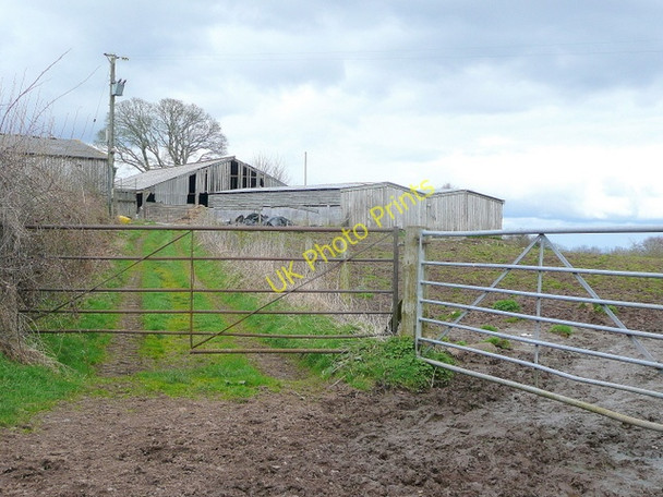 Photo 6"x4" Upper Hendre 1 Croes Llanfair c2010