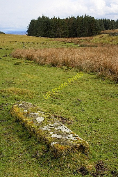 Photo 6"x4" Stone Post, Brocolitia Uppertown\/NY8672 c2010