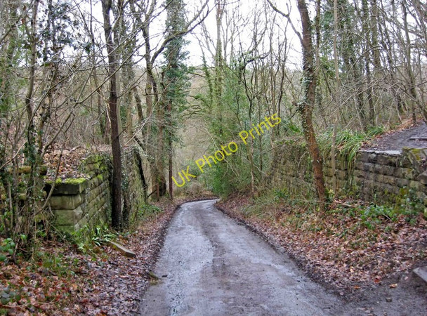 Photo 6"x4" Remains of former railway bridge over Drymill Lane Bewdley\/SO7875 c2010