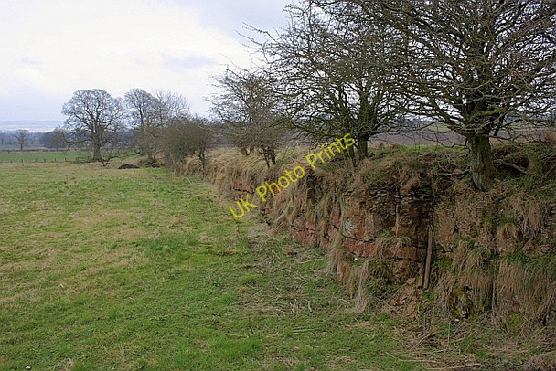 Photo 6"x4" Crag, Greencarts Simonburn c2010