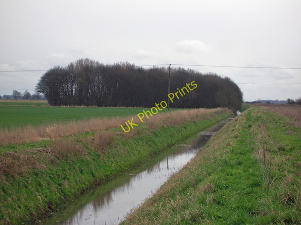 Photo 6"x4" Looking towards Willow Plantation Appleby\/SE9514 c2010
