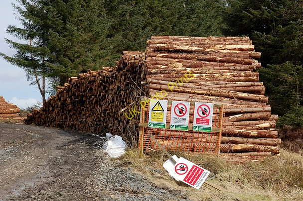 Photo 6"x4" A stack of logs, Minchmoor forest West Bold c2010