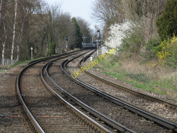 Photo 6"x4" Next Stop,  Barnes Bridge Barnes c2010