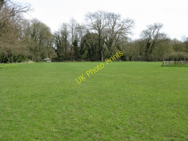 Photo 6"x4" Barnes Common, looking northeast Barnes c2010