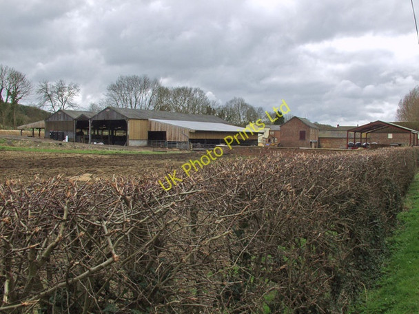 Photo 6"x4" Drewton Manor Farm South Cave c2008