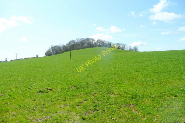 Photo 6"x4" Creech Hill Milton Clevedon c2010