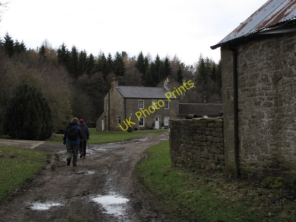 Photo 6"x4" Burntshield Haugh Rawgreen c2010