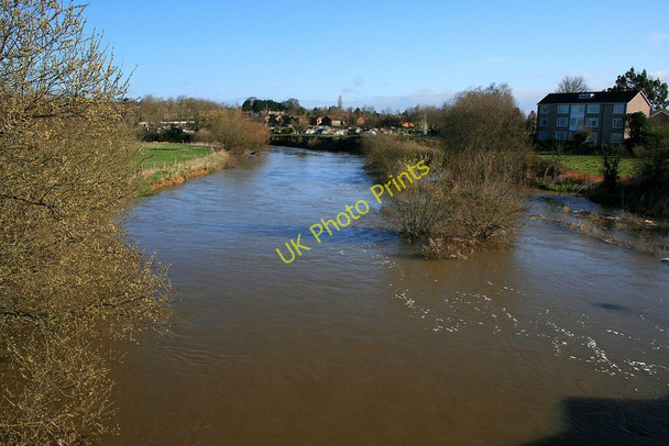 Photo 6"x4" River Stour in spate Wimborne Minster c2010
