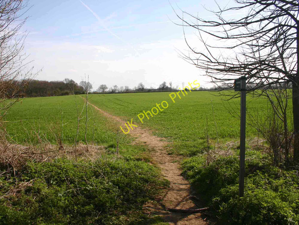 Photo 6"x4" Footpath to Radley from Radley Large Wood Radley Park c2010