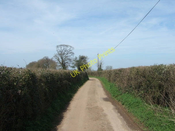 Photo 6"x4" Lane between Postlake and Roymar farms Clyst St George c2010