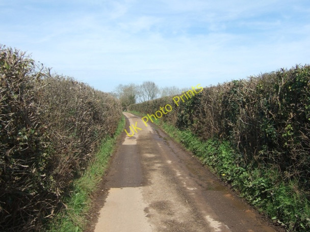 Photo 6"x4" Lane between Postlake and Roymar farms Clyst St George c2010