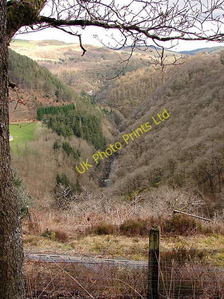Photo 6"x4" The Rheidol Valley Devil's Bridge\/Pontarfynach c2008