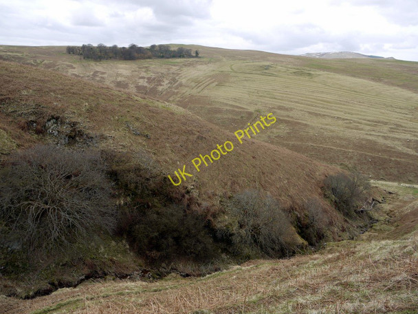 Photo 6"x4" Corbie Cleugh Ingram c2010