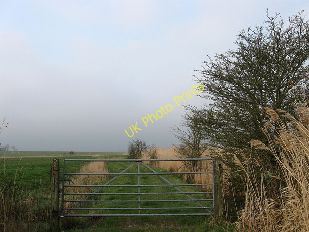 Photo 6"x4" Gate, Snapson's Drove Rickney c2010