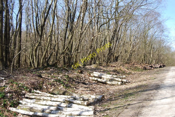 Photo 6"x4" Logs by the track, Angley Wood Cranbrook\/TQ7736 c2010