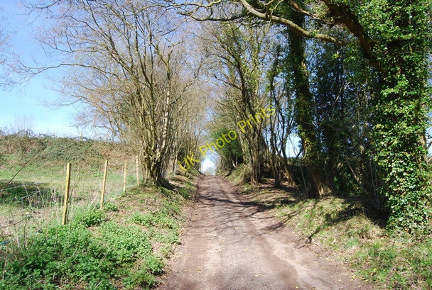 Photo 6"x4" High Weald Landscape Trail heading to Glassenbury Flishinghurst c2010