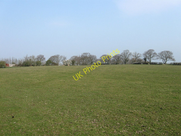Photo 6"x4" Great Field Hailsham c2010