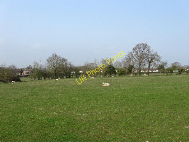 Photo 6"x4" Barn Field Hailsham c2010