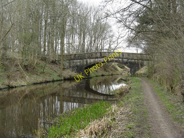 Photo 6"x4" Looking west to Bridge 37 on the Union Canal Old Philpstoun c2010