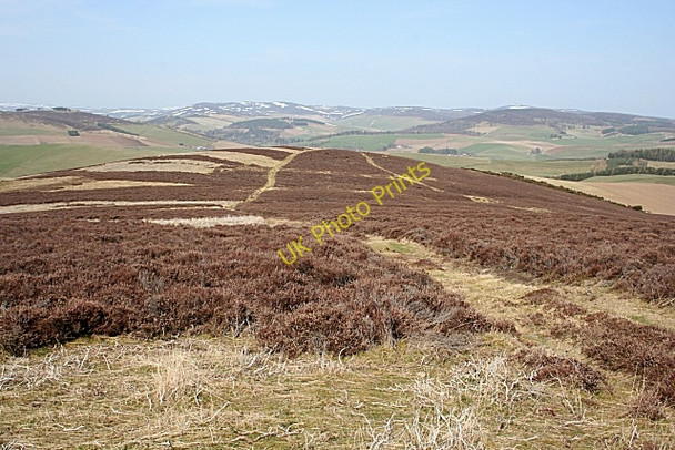 Photo 6"x4" Cardlunchart Hill Towie\/NJ4312 c2010