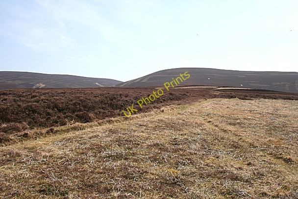 Photo 6"x4" Cardlunchart Hill Towie\/NJ4312 c2010