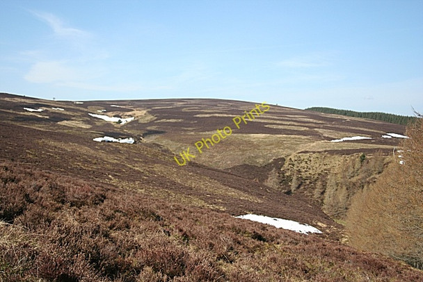 Photo 6"x4" Bog Burn Kildrummy c2010