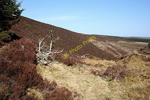 Photo 6"x4" Culsh Burn Kildrummy c2010