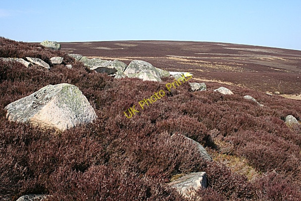Photo 6"x4" Granite Boulders Kildrummy c2010