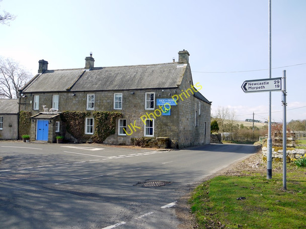 Photo 6"x4" Bird in Bush Free House, Elsdon Elsdon\/NY9393 c2010