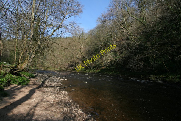 Photo 6"x4" River Nidd Knaresborough c2010