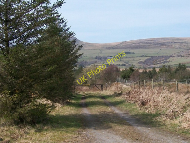 Photo 6"x4" Forest entrance near Cae Gors Bwlch-derwin c2010