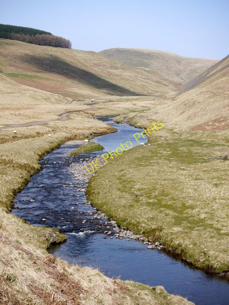 Photo 6"x4" River Coquet north of Bygate Hall Cottages Barrow Burn\/NT8610 c2010