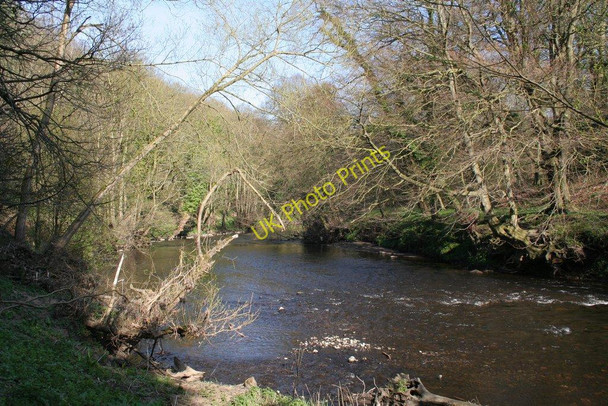 Photo 6"x4" River Nidd Knaresborough c2010