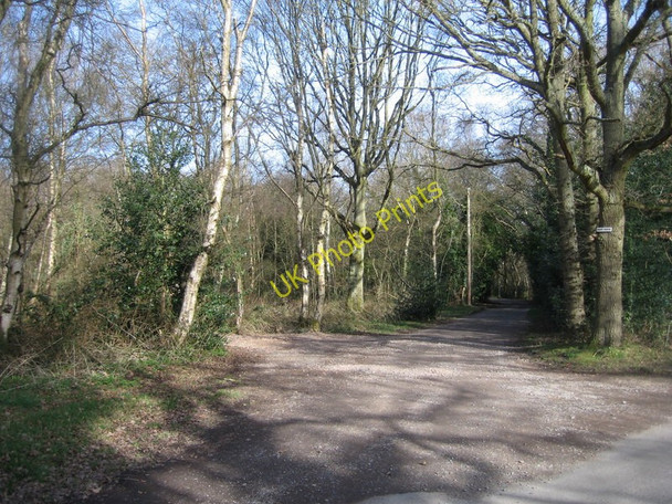 Photo 6"x4" Track to Briff Farm Thatcham c2009
