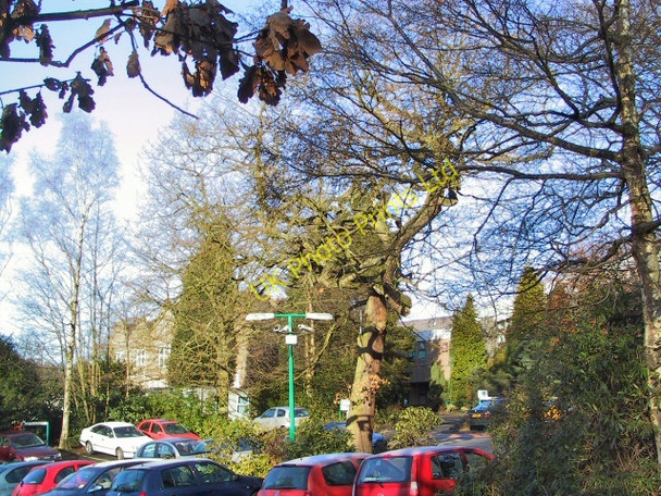 Photo 6"x4" Beaumont Hospital Lostock Junction c2005