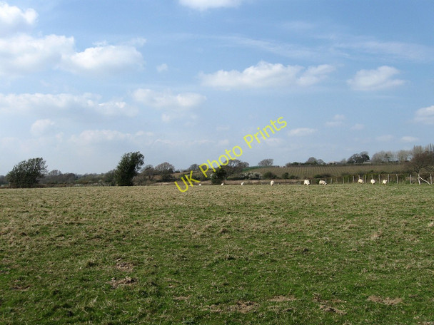 Photo 6"x4" Four Acres Golden Cross\/TQ6310 c2010