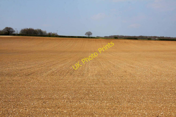Photo 6"x4" Arable field near Marlow Marlow\/SU8586 c2010