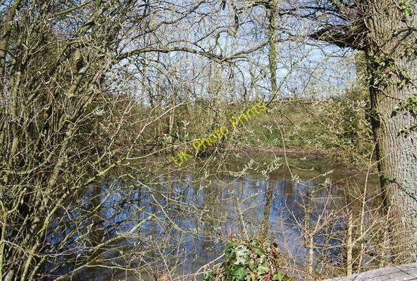 Photo 6"x4" Wooded pond, Lidwells Lane Broad Ford c2010